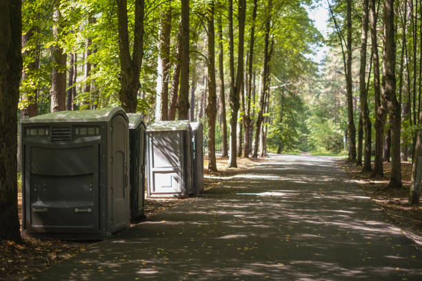 Best Affordable portable toilet rental  in Roselle, NJ